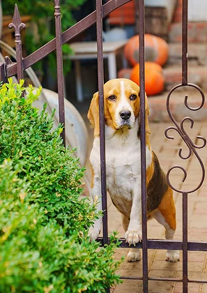 Fabrication et livrasion à domicile de nos portails en fer forgé dans la Nièvre (58)